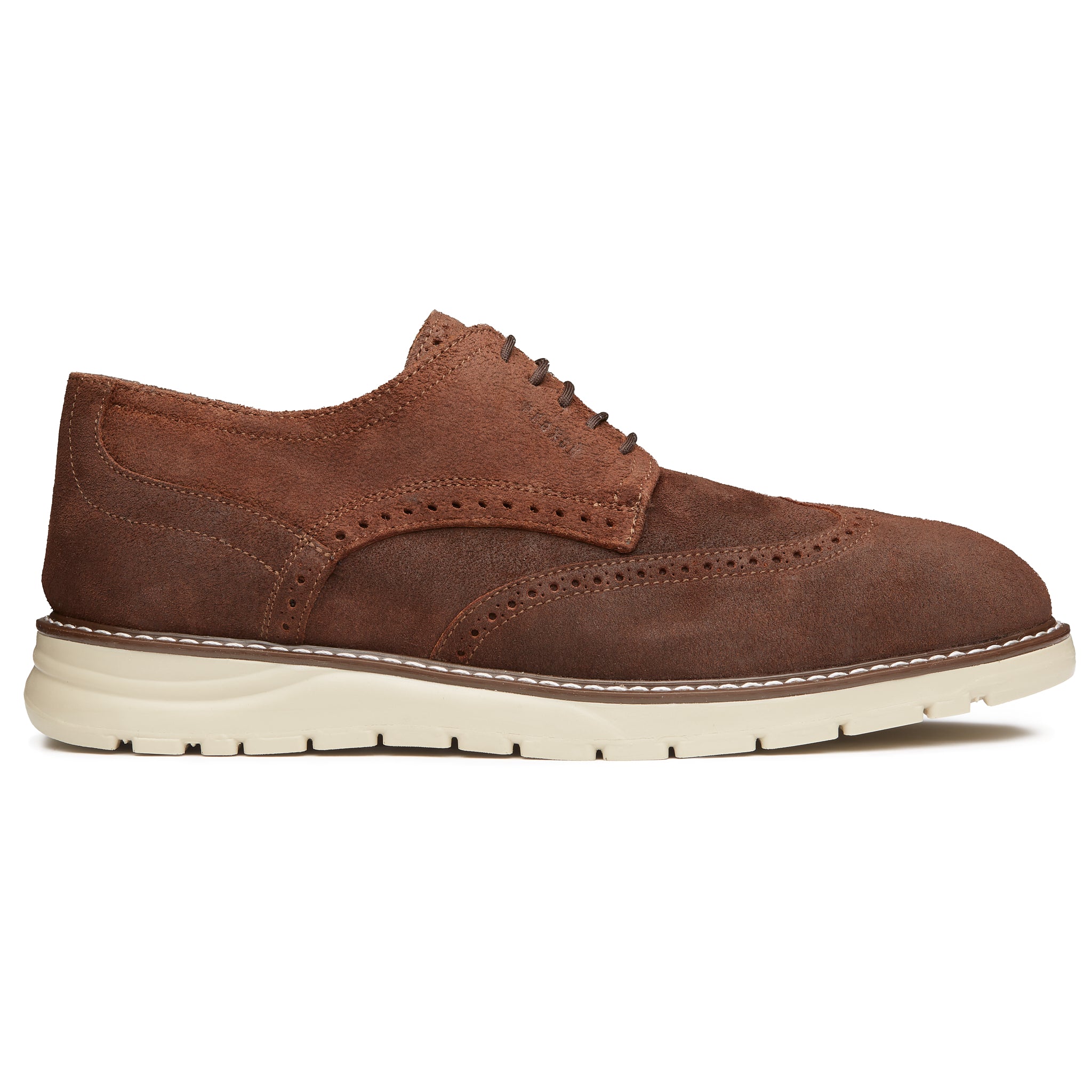 STEEL TOE DERBY SHOES MASTER MOKA – Proxon Premium Workwear