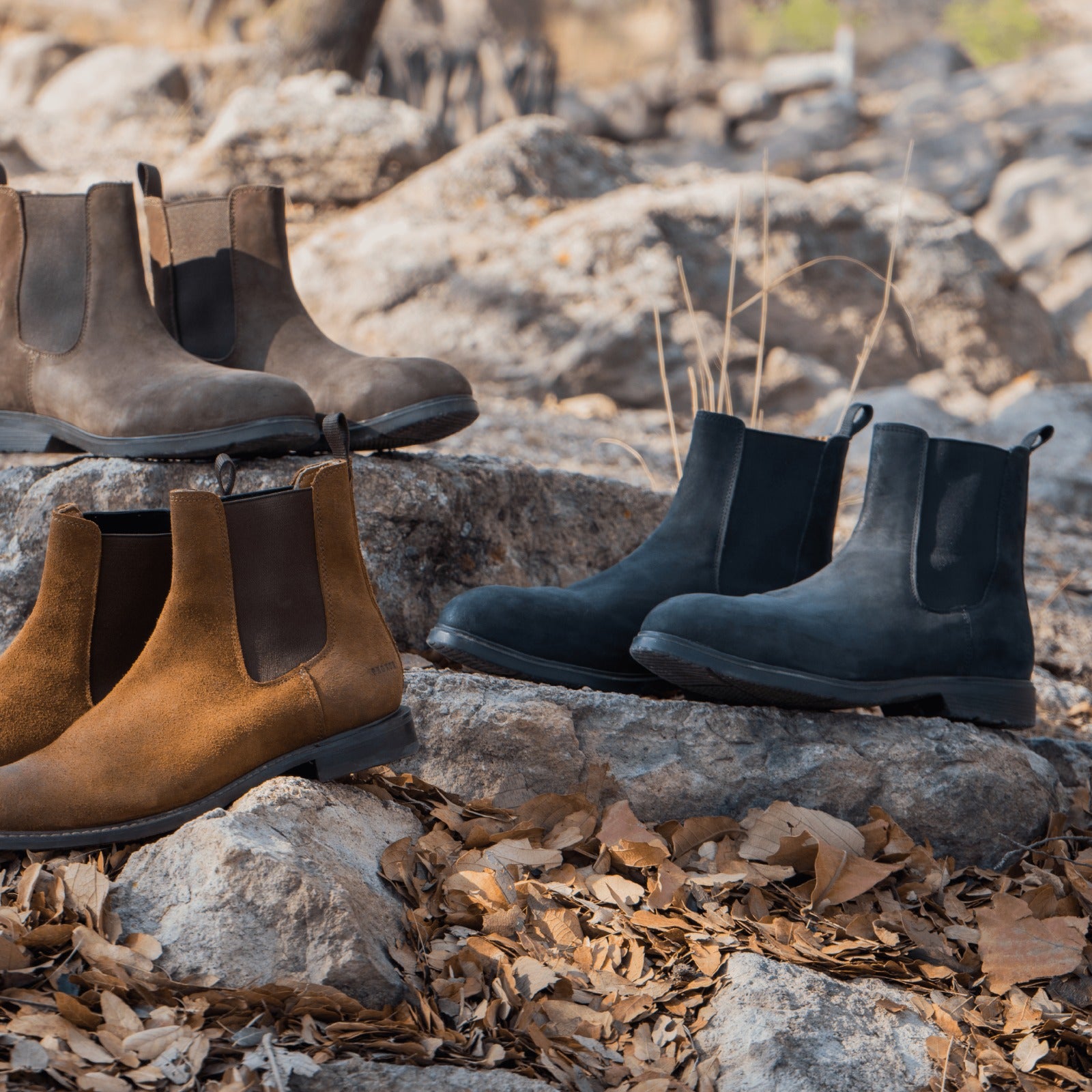 Proxon Boot Season Banner 